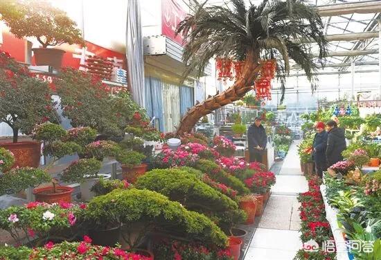 兰州市的鲜花市场在哪里