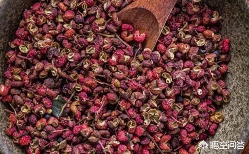 河南种花椒品种怎么样