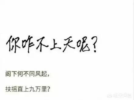 宝马木