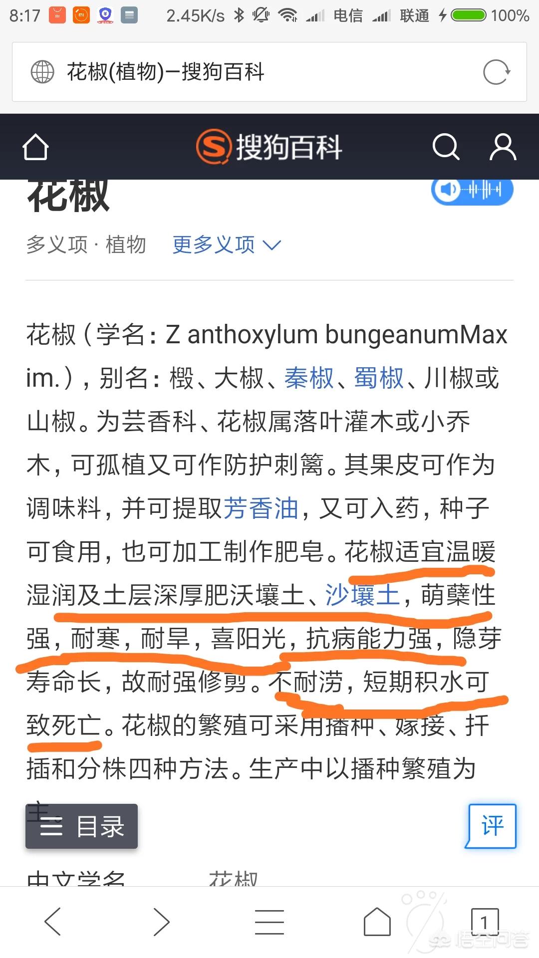 河南种花椒品种怎么样