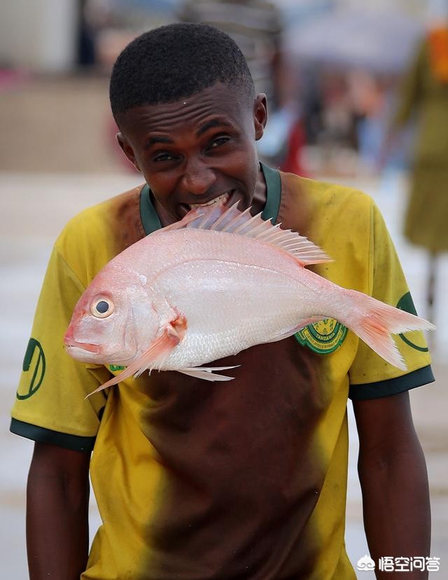 非洲图片（雨林面积排行）
