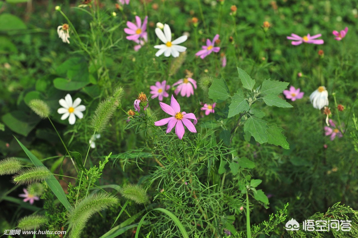 [微信背景壁纸]realme手机怎么设置微信动态壁纸？