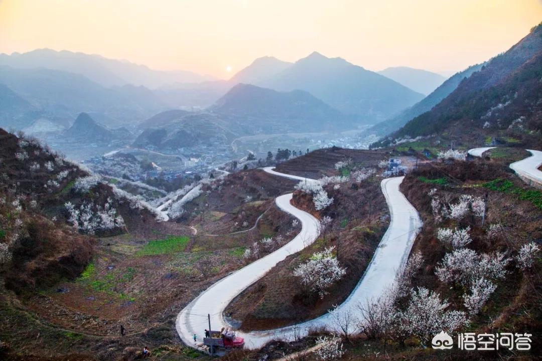 樱花的图片樱花的图片大全 最美 樱花的图片樱花的图片大全 最美