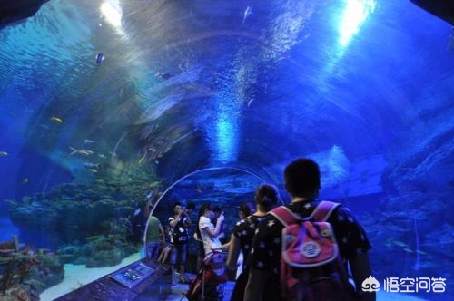 辽宁省大连市玩什么好 辽宁省大连市玩什么好