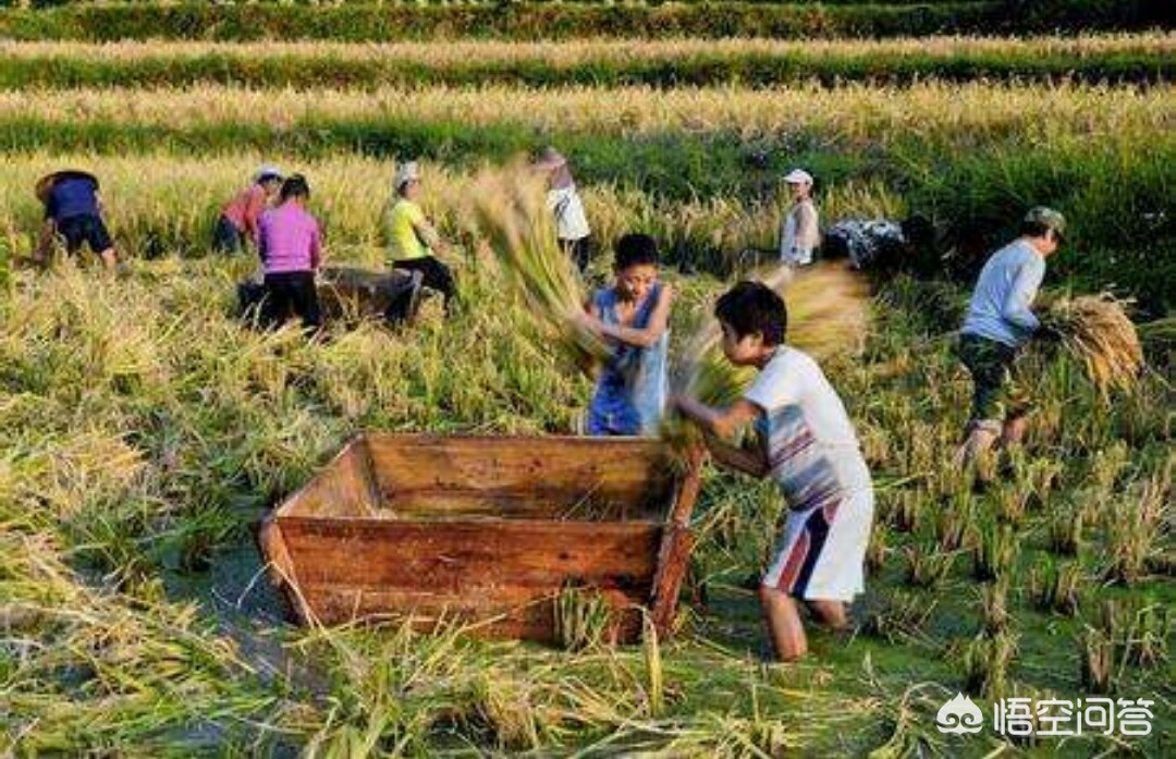 哈尔滨地产蔬菜比南方蔬菜贵上几倍是什么原因? 哈尔滨地产蔬菜比南方蔬菜贵上几倍是什么原因?