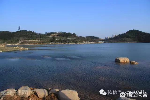 长沙市有什么免费的景区吗