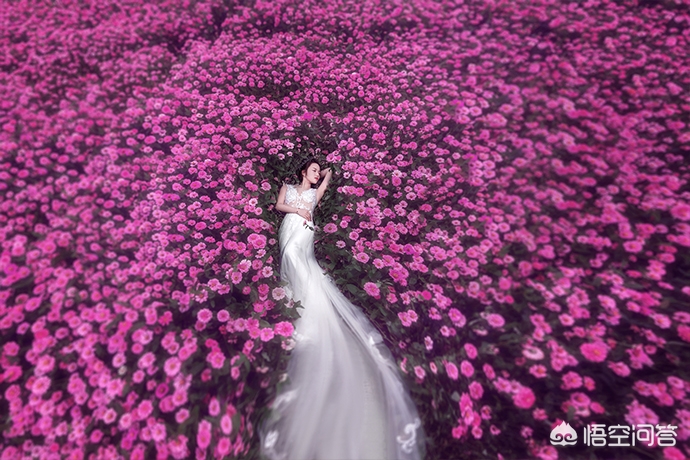 海口婚纱摄影哪家好，海口婚纱摄影哪家好前十名排行榜