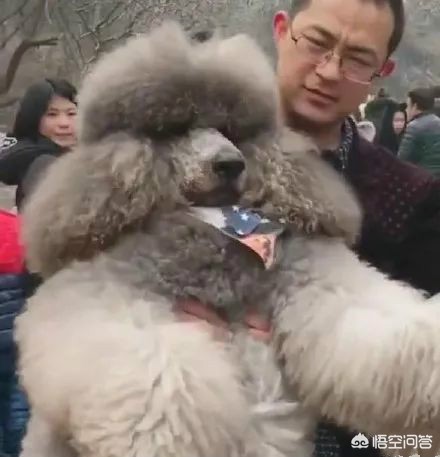 [男子下山被棕熊拖走]如何看待私登四姑娘山的男子丢下女友独自下山求救？