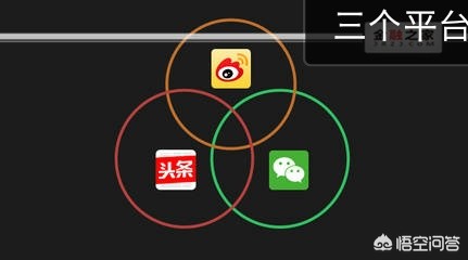 宝马胖