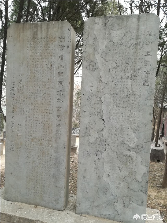 济南市森林公园怎么样 济南市森林公园怎么样