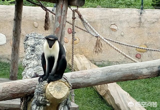 辽宁省大连市玩什么好 辽宁省大连市玩什么好