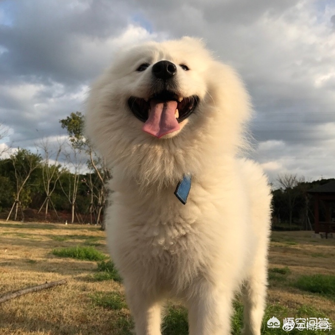 美妆好物安利博主
