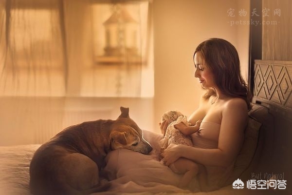 记录海外生活图片素材下载，记录海外生活图片素材下载软件