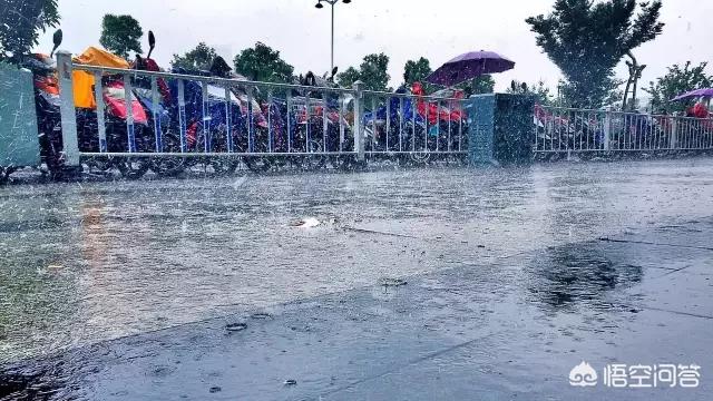 现在合肥市什么地方有雨