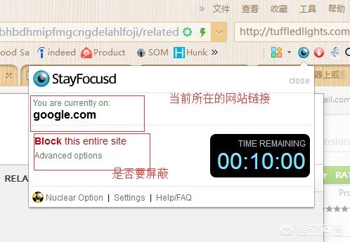 搭建网站 搜索引擎