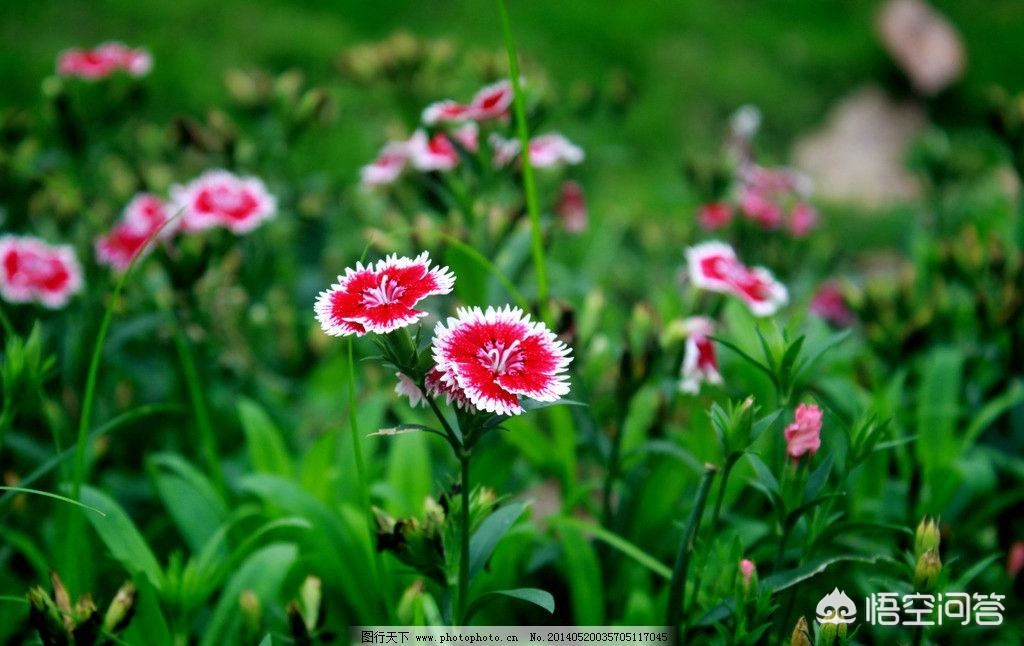 [微信背景壁纸]realme手机怎么设置微信动态壁纸？