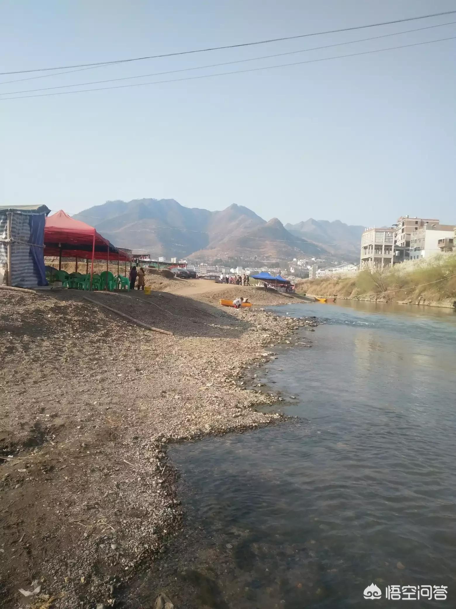 樱花的图片樱花的图片大全 最美 樱花的图片樱花的图片大全 最美