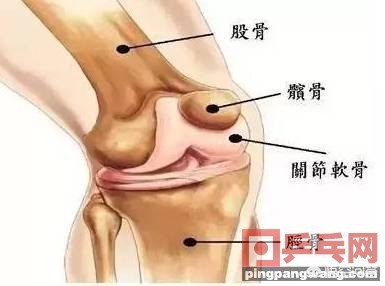 打乒乓球竟然也伤膝盖，原因到底是为何？