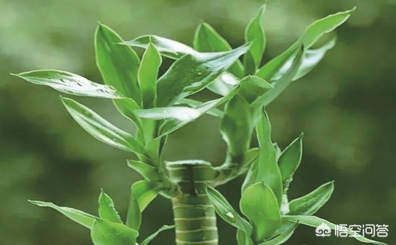 买保险要注意什么细节，买保险要注意什么细节问题