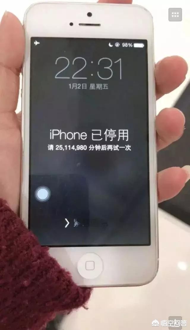 宝贝乐一通，宝贝乐一通第一季免费观看
