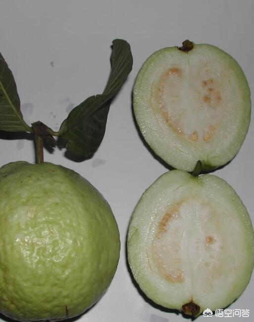 福建卖臭豆腐怎么样
