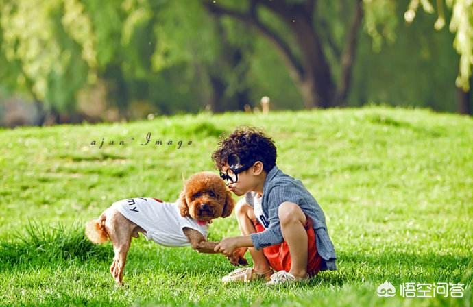 记录海外生活图片素材下载，记录海外生活图片素材下载软件