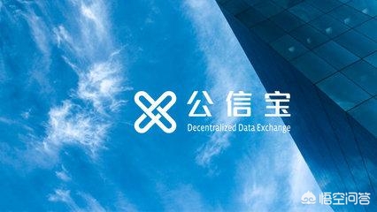 安卓搭建网站软件
