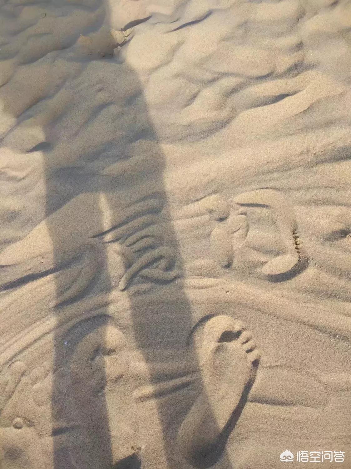 厦门哪里最好玩? 厦门哪里最好玩?