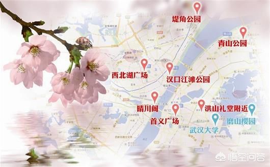除了武汉大学，武汉还有哪里可以赏樱花？