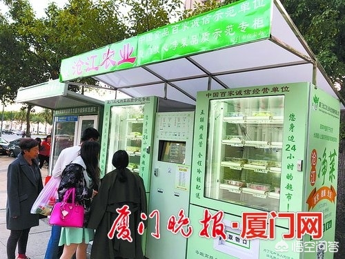 深圳有机蔬菜种植机，深圳有机蔬菜种植机械厂家
