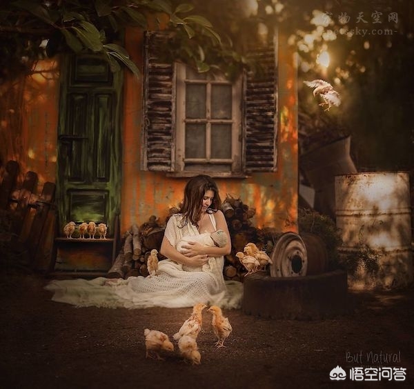 记录海外生活图片素材下载，记录海外生活图片素材下载软件