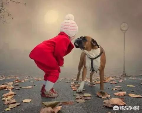 记录海外生活图片素材下载，记录海外生活图片素材下载软件