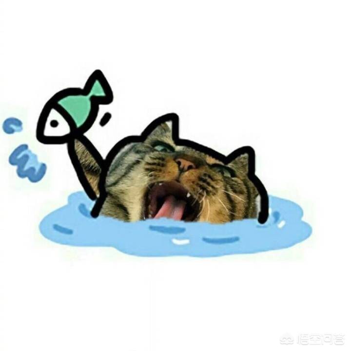 海外生活闺蜜头像，海外生活vlog