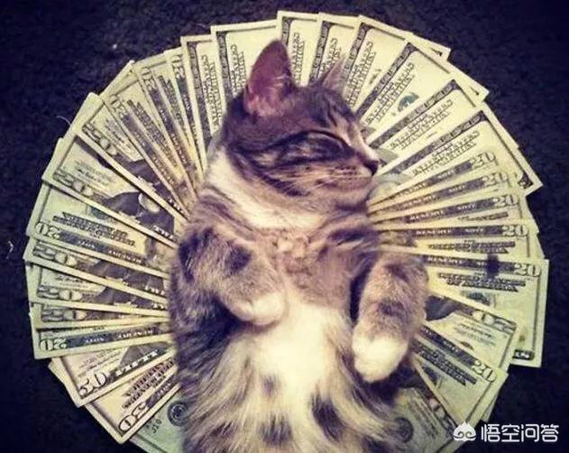 [家中38万现金被盗]买房，买临深哪里的房子合适，手上现金只有38W，深圳龙华工作？