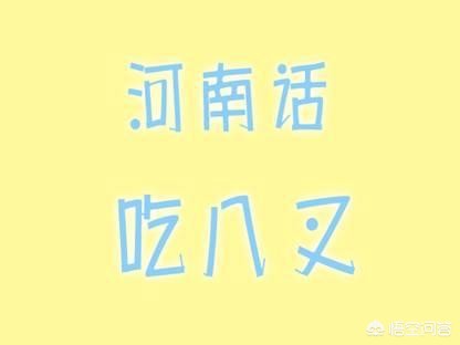 新疆河南老板怎么样