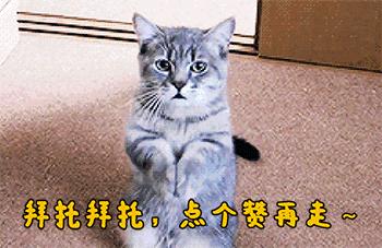 中国大妈的海外生活图片，中国大妈的海外生活图片大全