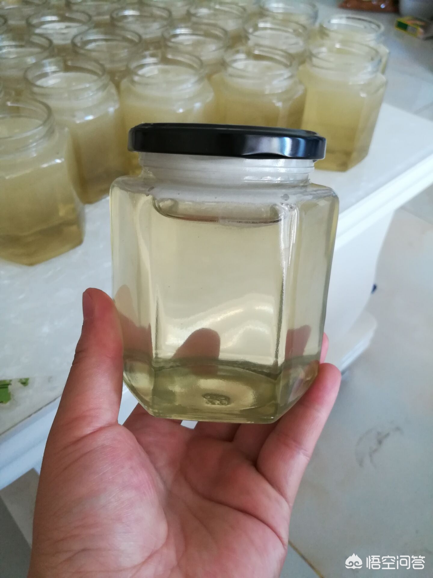 甘肃哪里的槐花蜜比较好？