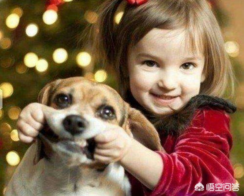 记录海外生活图片素材下载，记录海外生活图片素材下载软件