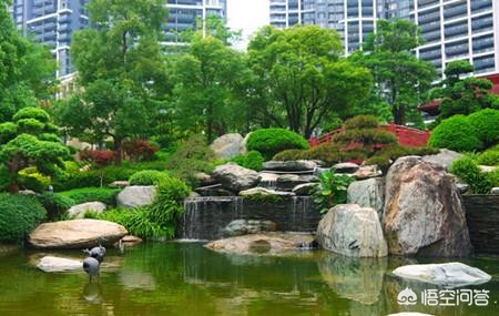 南阳市坤奥实业有限公司实力？
