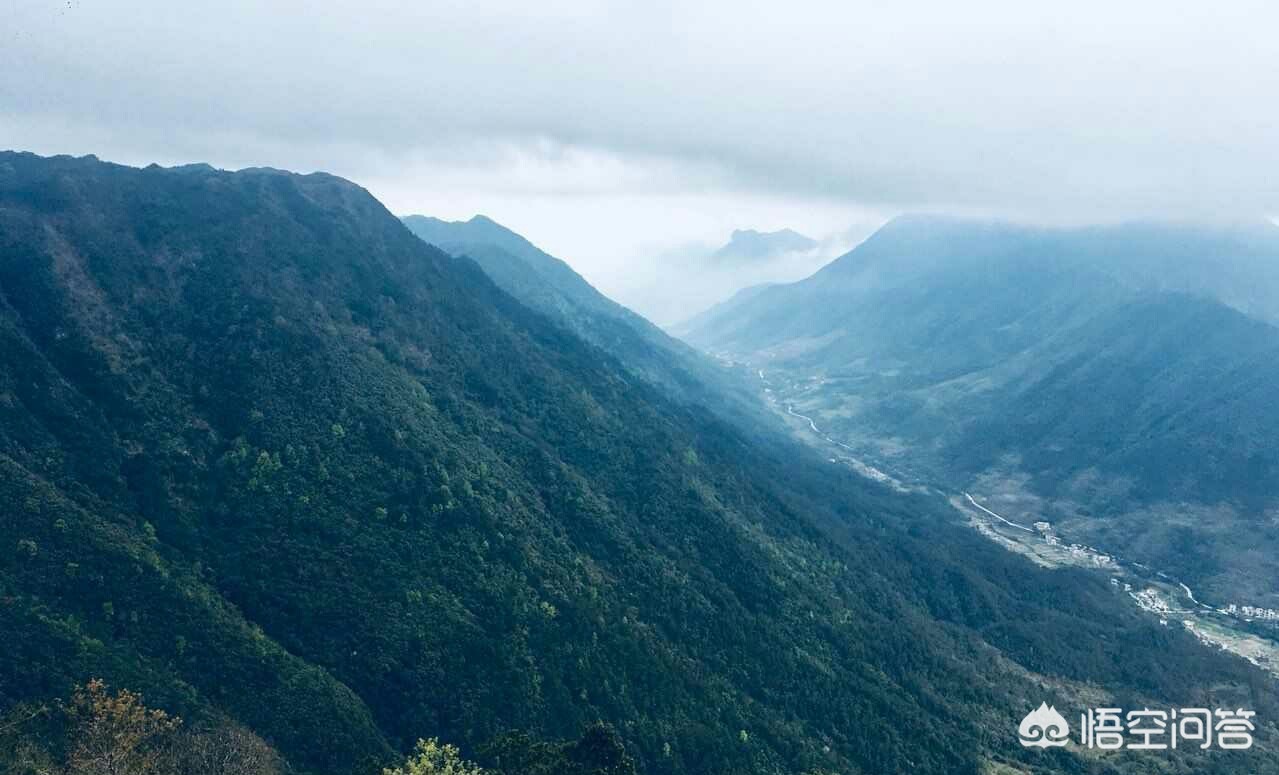 5周岁的孩子适合玩什么手机游戏？