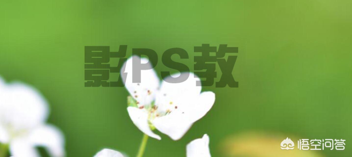 ps如何去水印(ps软件如何去除水印?) ps如何去水印(ps软件如何去除水印?)