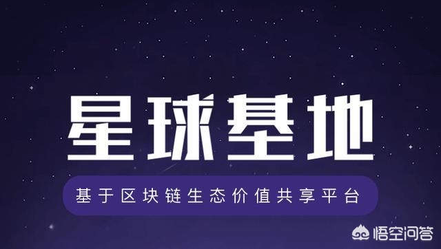 安卓搭建网站软件
