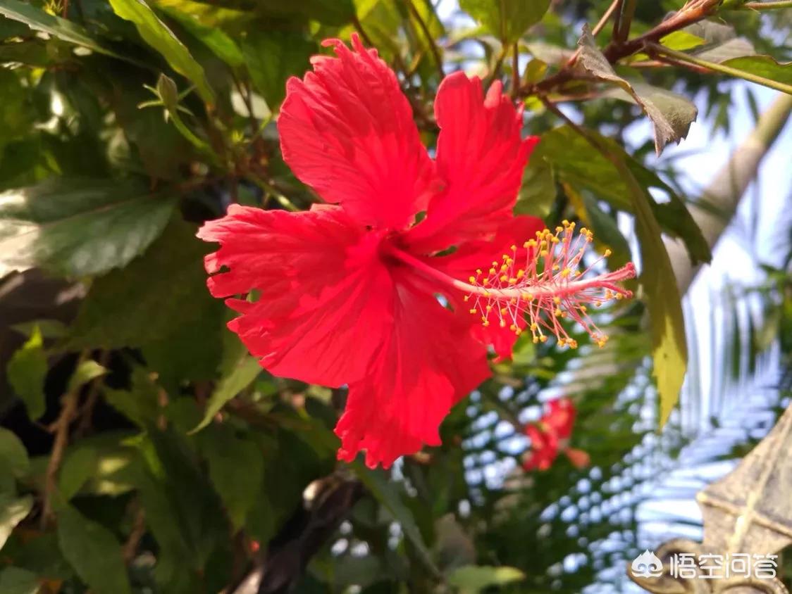 厦门哪里最好玩？