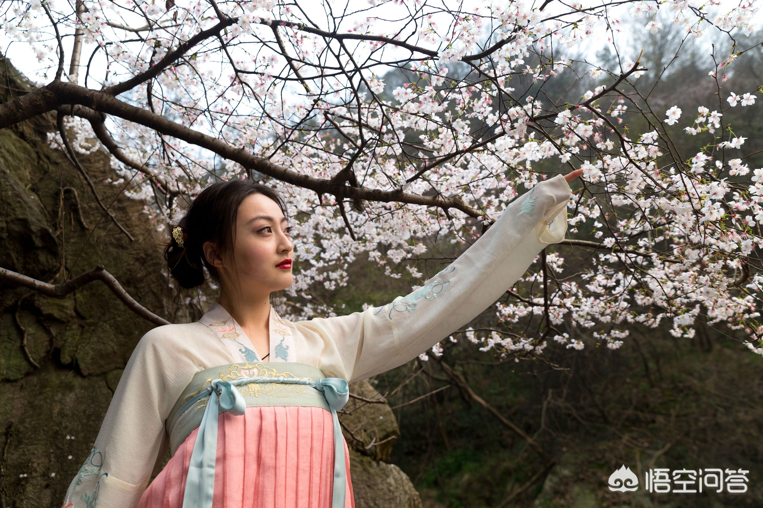 武汉市可以养什么花卉