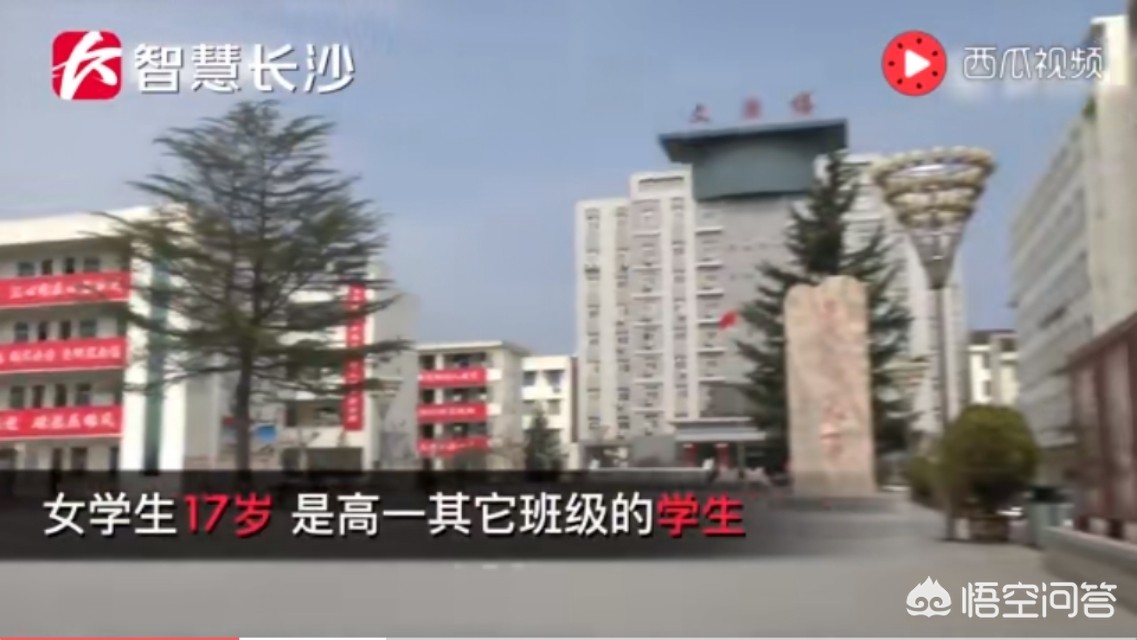 亲密家庭教师，亲密家庭教师百度网盘