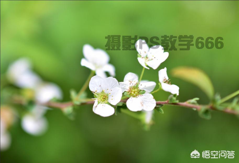 ps如何去水印(ps软件如何去除水印?) ps如何去水印(ps软件如何去除水印?)