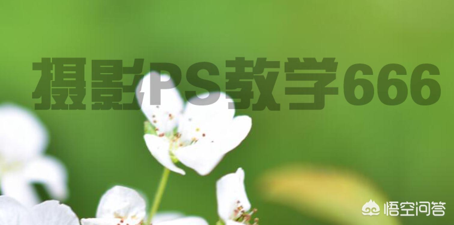 ps如何去水印(ps软件如何去除水印?) ps如何去水印(ps软件如何去除水印?)