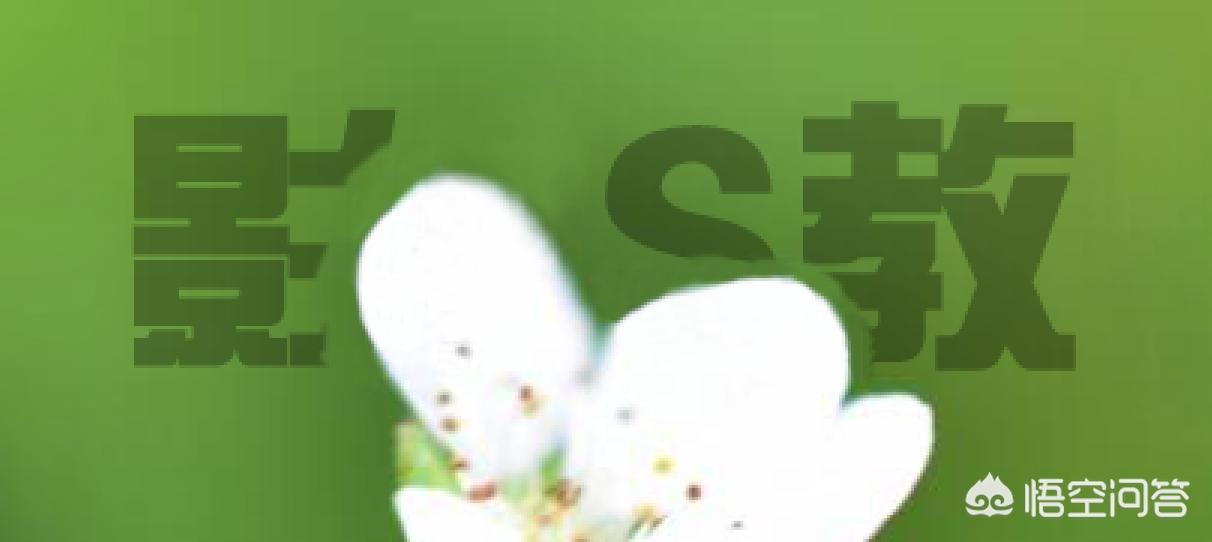 ps如何去水印（ps软件如何去除水印？）