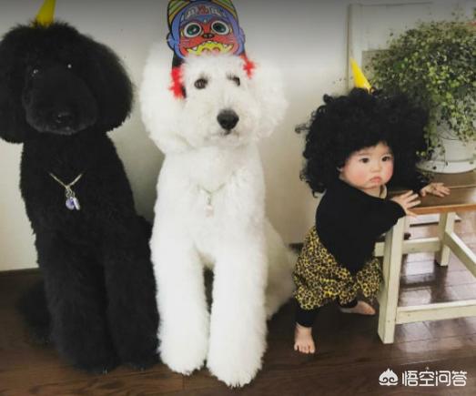 记录海外生活图片素材下载，记录海外生活图片素材下载软件