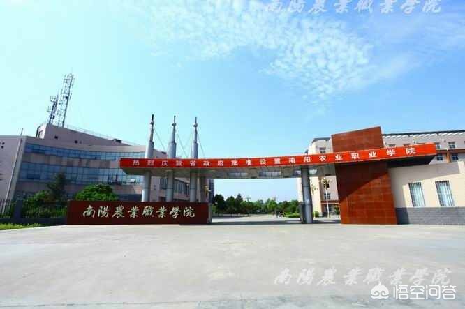 南阳市坤奥实业有限公司实力？